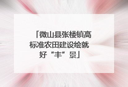 微山县张楼镇高标准农田建设绘就好“丰”景