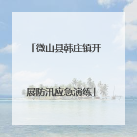 微山县韩庄镇开展防汛应急演练