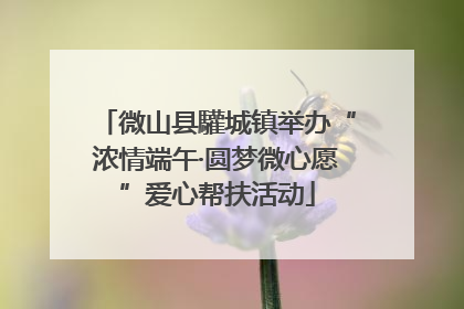 微山县驩城镇举办“浓情端午·圆梦微心愿”爱心帮扶活动