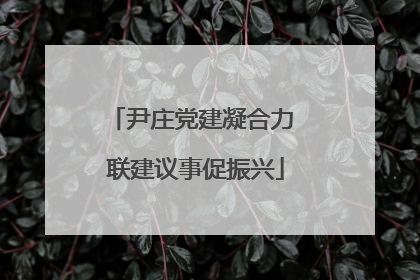 尹庄党建凝合力 联建议事促振兴