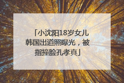 小沈阳18岁女儿韩国出道照曝光，被指撞脸孔孝真