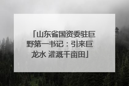山东省国资委驻巨野第一书记：引来巨龙水 灌溉千亩田