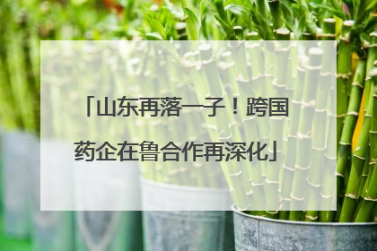 山东再落一子！跨国药企在鲁合作再深化