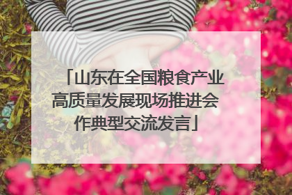 山东在全国粮食产业高质量发展现场推进会作典型交流发言