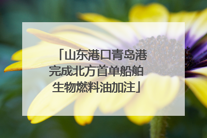 山东港口青岛港完成北方首单船舶生物燃料油加注