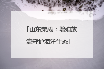 山东荣成：增殖放流守护海洋生态