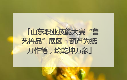 山东职业技能大赛“鲁艺鲁品”展区：葫芦为纸刀作笔，绘乾坤万象