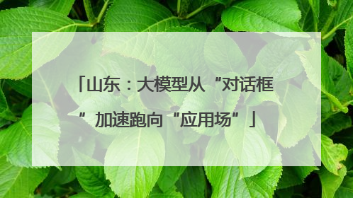 山东：大模型从“对话框”加速跑向“应用场”