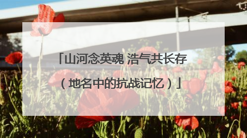 山河念英魂 浩气共长存（地名中的抗战记忆）