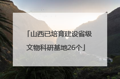 山西已培育建设省级文物科研基地26个