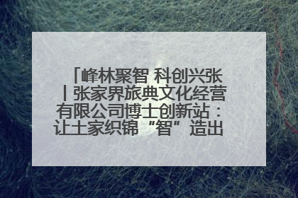 峰林聚智 科创兴张丨张家界旅典文化经营有限公司博士创新站：让土家织锦“智”造出非遗新传奇