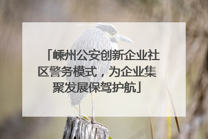嵊州公安创新企业社区警务模式，为企业集聚发展保驾护航