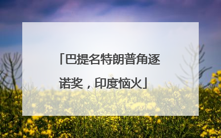 巴提名特朗普角逐诺奖，印度恼火
