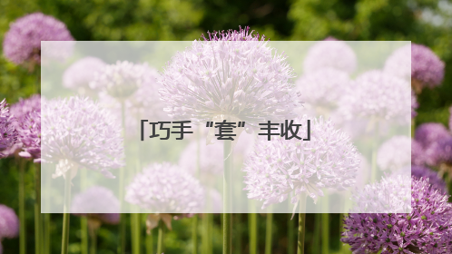 巧手“套”丰收