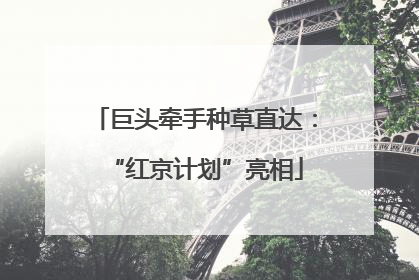 巨头牵手种草直达：“红京计划”亮相