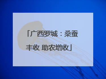广西罗城：桑蚕丰收 助农增收