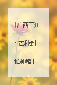 广西三江：芒种到 忙种稻