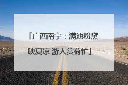 广西南宁：满池粉黛映夏凉 游人赏荷忙
