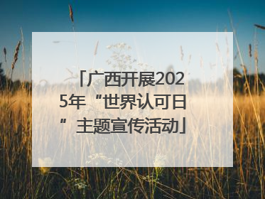 广西开展2025年“世界认可日”主题宣传活动