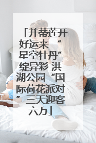 并蒂莲开好运来 “星空牡丹”绽异彩 洪湖公园“国际荷花派对”三天迎客六万
