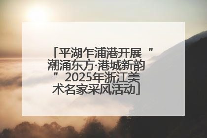 平湖乍浦港开展“潮涌东方·港城新韵”2025年浙江美术名家采风活动