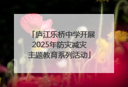 庐江乐桥中学开展2025年防灾减灾主题教育系列活动