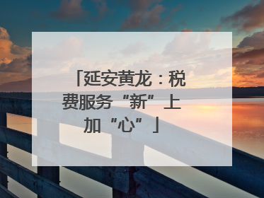 延安黄龙：税费服务“新”上加“心”