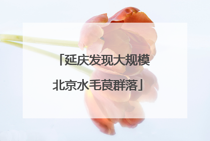 延庆发现大规模北京水毛茛群落