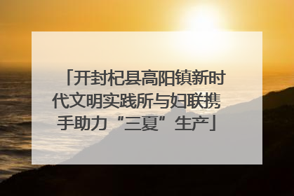 开封杞县高阳镇新时代文明实践所与妇联携手助力“三夏”生产
