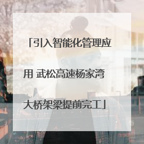 引入智能化管理应用 武松高速杨家湾大桥架梁提前完工