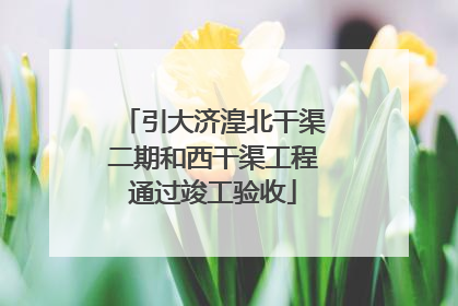 引大济湟北干渠二期和西干渠工程通过竣工验收