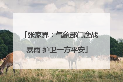 张家界：气象部门鏖战暴雨 护卫一方平安