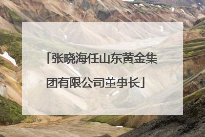 张晓海任山东黄金集团有限公司董事长