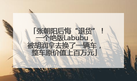 张朝阳后悔“退货”！一个绝版Labubu，被胡润拿去换了一辆车，整车原价值上百万元