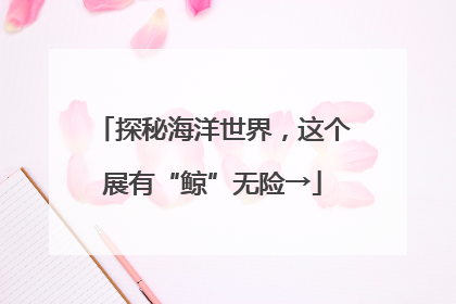 探秘海洋世界，这个展有“鲸”无险→
