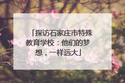 探访石家庄市特殊教育学校：他们的梦想，一样远大