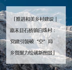 推进和美乡村建设｜嘉禾县石桥镇白珠村：党建引领破“空”局 乡贤聚力绘就新图景
