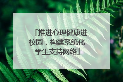 推进心理健康进校园，构建系统化学生支持网络