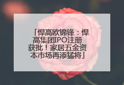 悍高欧锦锋：悍高集团IPO注册获批！家居五金资本市场再添猛将
