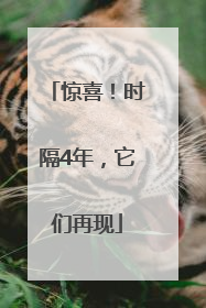 惊喜！时隔4年，它们再现