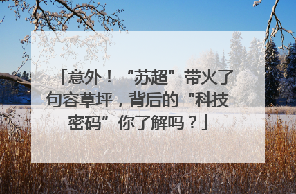 意外！“苏超”带火了句容草坪，背后的“科技密码”你了解吗？