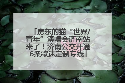 房东的猫“世界/青年”演唱会济南站来了！济南公交开通6条歌迷定制专线