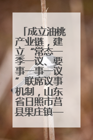 成立油桃产业链，建立“常态一季一议、要事一事一议”联席议事机制，山东省日照市莒县果庄镇——13个党小组“全周期”育果
