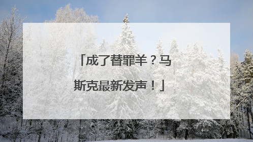 成了替罪羊？马斯克最新发声！