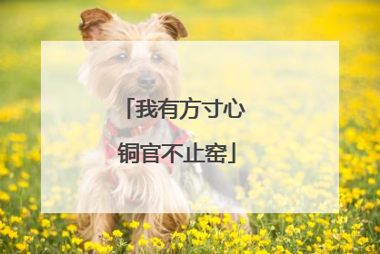 我有方寸心 铜官不止窑