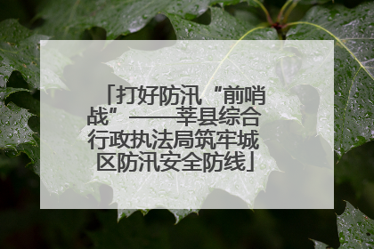 打好防汛“前哨战”——莘县综合行政执法局筑牢城区防汛安全防线