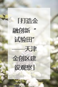 打造金融创新“试验田”——天津金创区建设观察