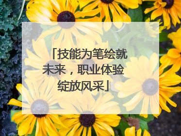 技能为笔绘就未来，职业体验绽放风采
