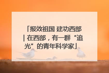 报效祖国 建功西部｜在西部，有一群“追光”的青年科学家