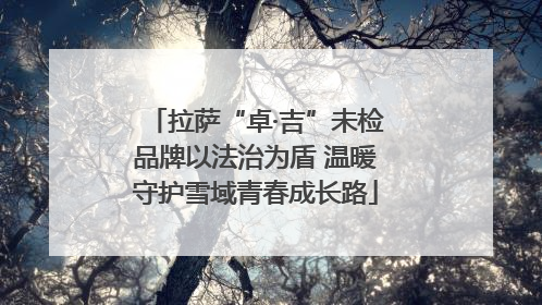拉萨“卓·吉”未检品牌以法治为盾 温暖守护雪域青春成长路